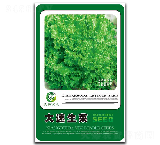 ��������-���˷N��-�����_(d��)