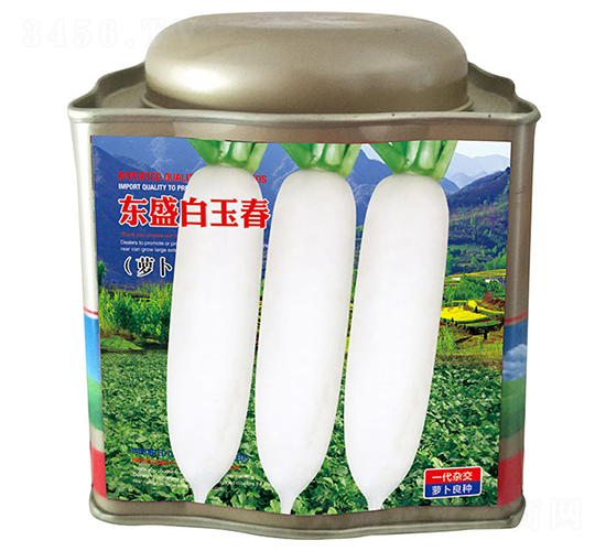 �|ʢ���񴺣��ޣ�-���}���N��-�����_