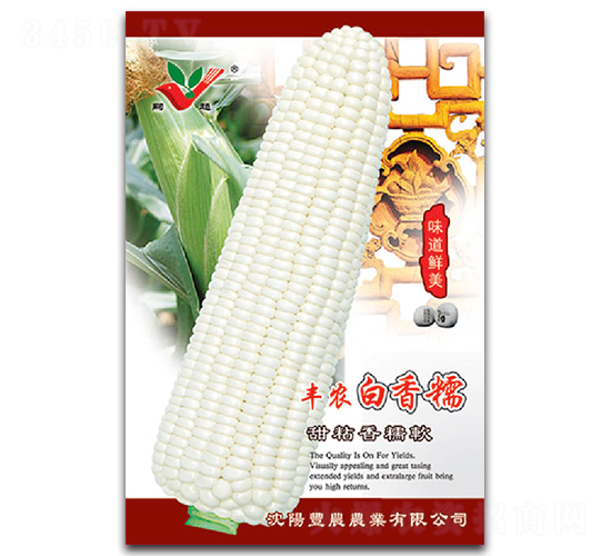 豐農(nóng)白香糯-糯玉米種子-豐農(nóng)農(nóng)業(yè)