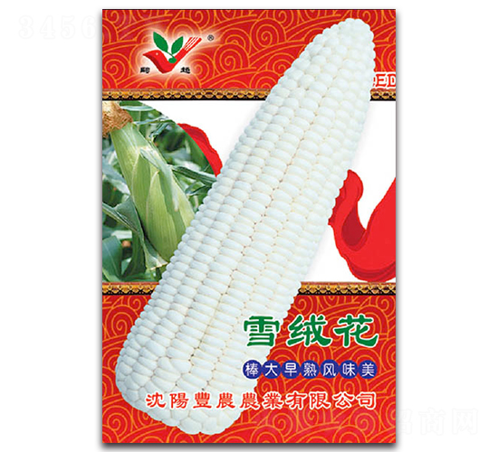 雪絨花-糯玉米種子-豐農(nóng)農(nóng)業(yè)