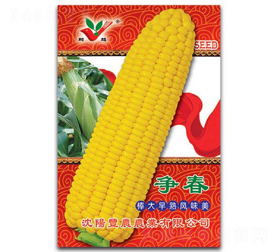 爭(zhēng)春-糯玉米種子-豐農(nóng)農(nóng)業(yè)