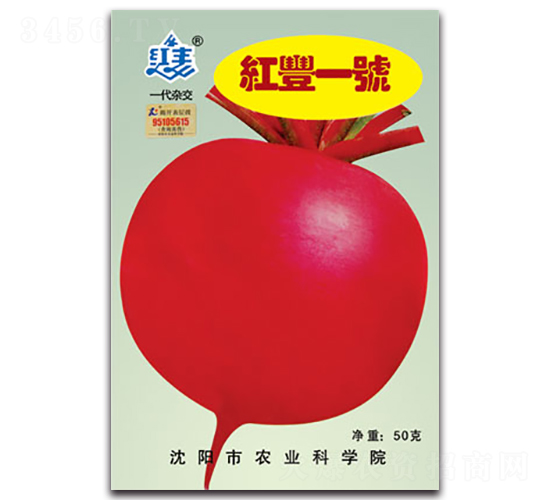 �t�Sһ̖-�}���N��-�S�r(n��ng)�r(n��ng)�I(y��)