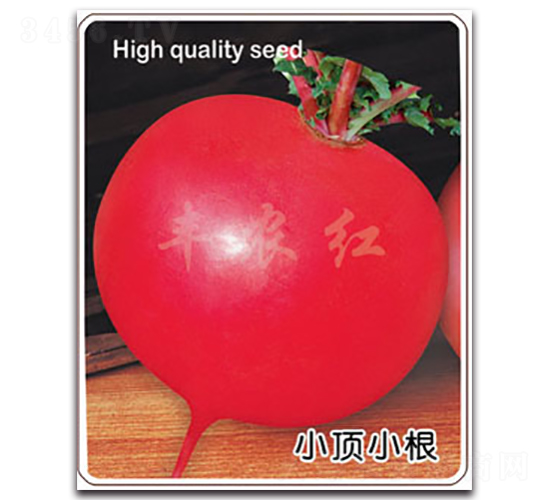 �S�r(n��ng)�t-�}���N��-�S�r(n��ng)�r(n��ng)�I(y��)