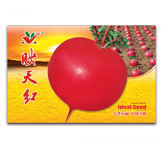 ӳ��t-�}���N��-�S�r�r�I(y��)