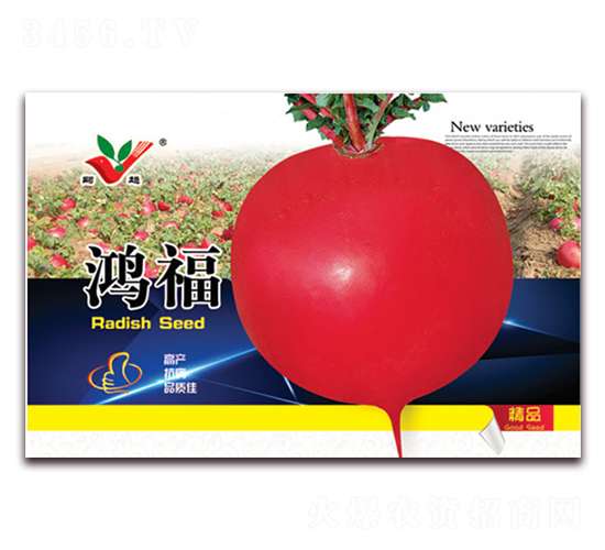 ����-�}���N��-�S�r(n��ng)�r(n��ng)�I(y��)