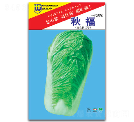 秋福-白菜種子-豐農(nóng)農(nóng)業(yè)
