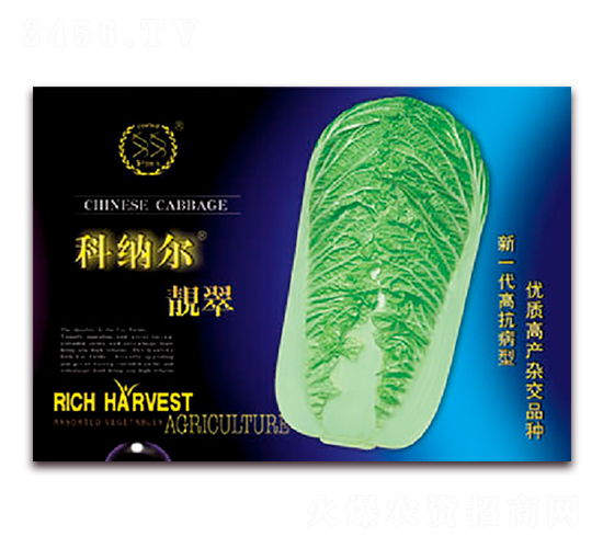 科納爾靚翠-白菜種子-豐農(nóng)農(nóng)業(yè)