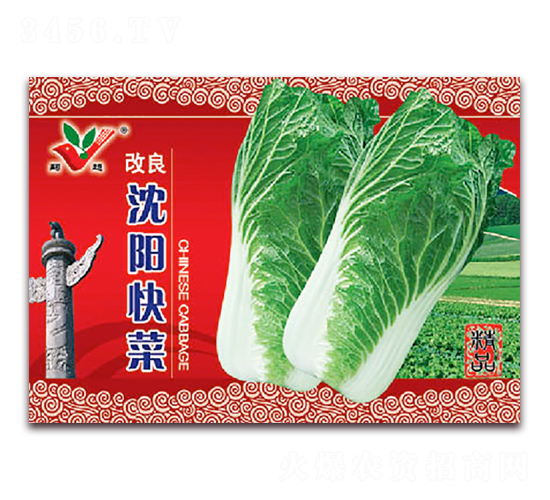 沈陽快菜-白菜種子-豐農(nóng)農(nóng)業(yè)