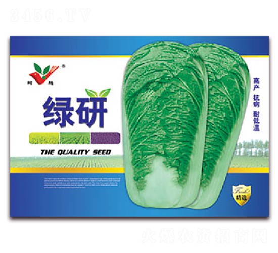 綠研-白菜種子-豐農(nóng)農(nóng)業(yè)
