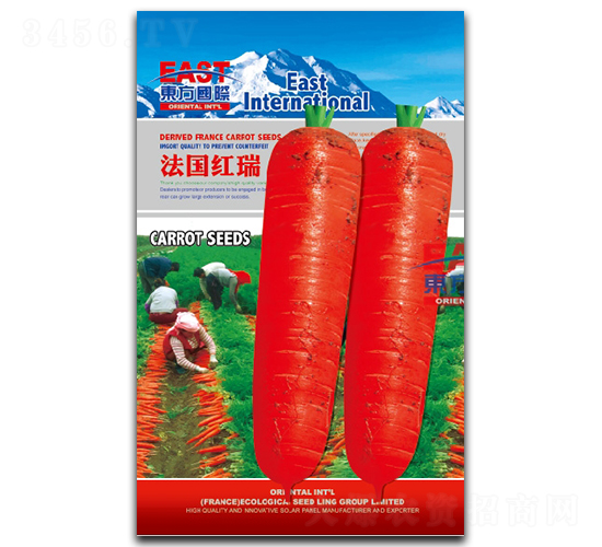 �����t��-���}���N��-�����_