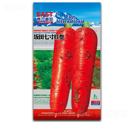 �����ߴ�t-���}���N��-�����_(d��)