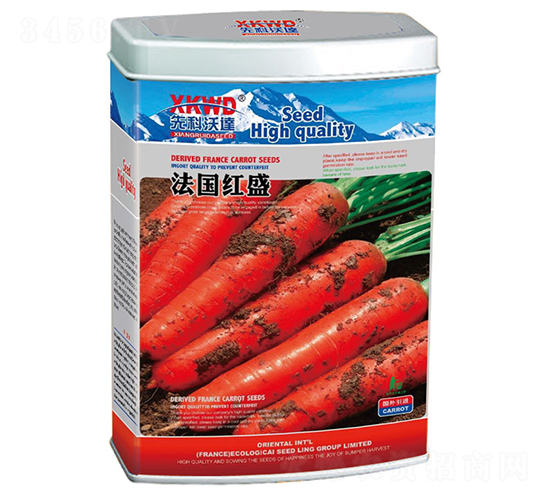 ����(gu��)�tʢ���ޣ�-���}���N��-�����_(d��)