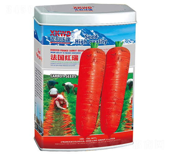 ����(gu��)�t�𣨹ޣ�-���}���N��-�����_(d��)