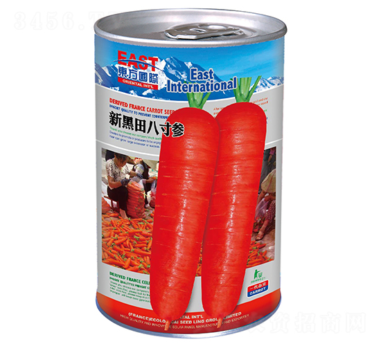 �º���˴煢���ޣ�-���}���N��-�����_