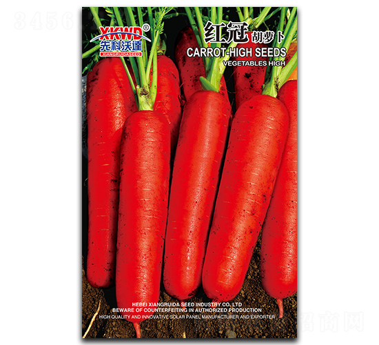 �t��-���}���N��-�����_(d��)