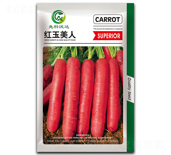 紅玉美人-胡蘿卜種子-祥瑞達(dá)