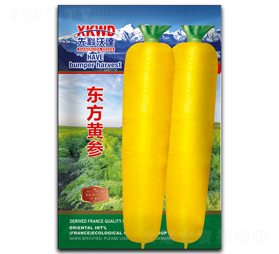 東方黃參-胡蘿卜種子-祥瑞達