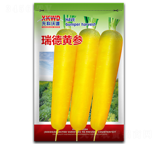 瑞德黃參-胡蘿卜種子-祥瑞達