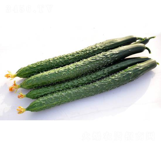 DY10-12-�S�ϷN��-����r(n��ng)�I(y��)