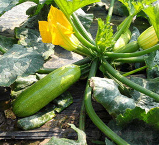 ���S3008-�����J�N��-����r(n��ng)�I(y��)