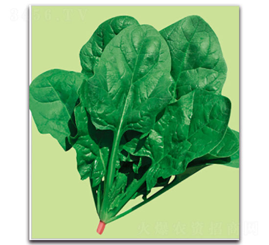 �S��-���˷N��-�����r