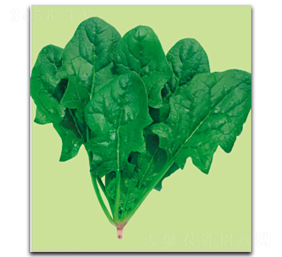 �S��-���˷N��-�����r(n��ng)