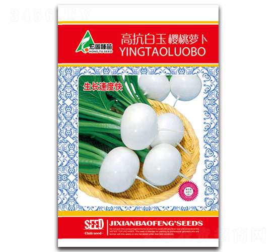 �߿���������}��-�}���N��-�����r(n��ng)