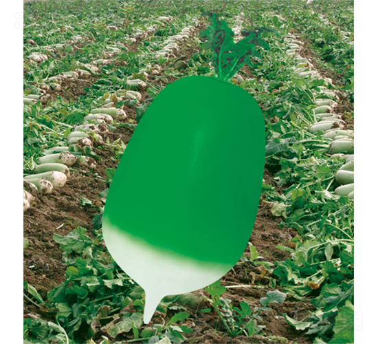 ����(j��)�G����-�}���N��-�W�m��