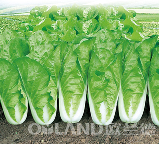 �r��22��-��˷N��-�W�m��