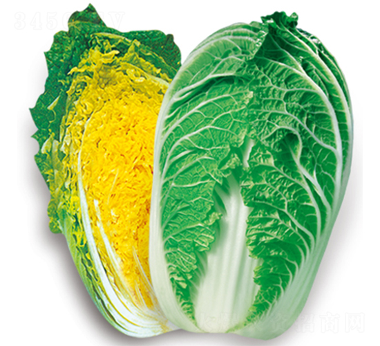 �n�Ƕ���-��˷N��-�W�m��