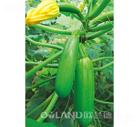 �W��������-�����J�N��-�W�m��