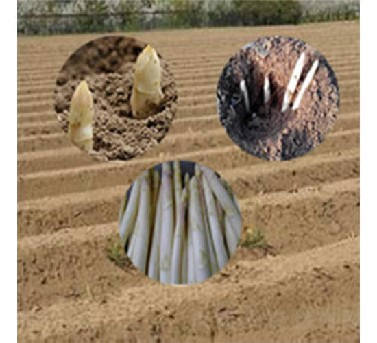 ���m�׹S��-�J�S�N��-���r(n��ng)����