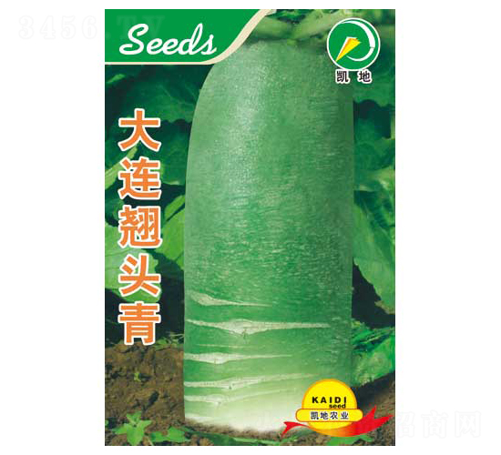 ���B�N�^��-�}���N��-�P���r(n��ng)�I(y��)