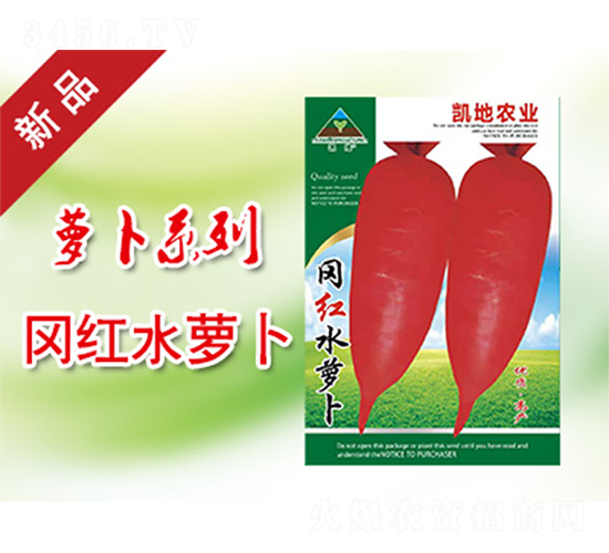 ���tˮ�}��-�}���N��-�P���r(n��ng)�I(y��)