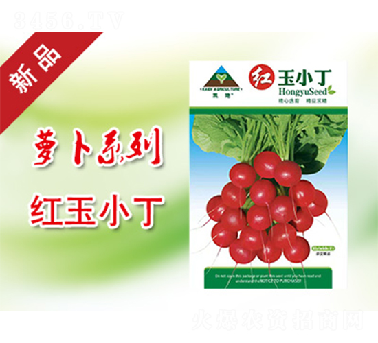 �t��С��-�}���N��-�P���r(n��ng)�I(y��)