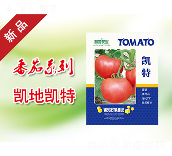 �P��-���ѷN��-�P���r�I(y��)