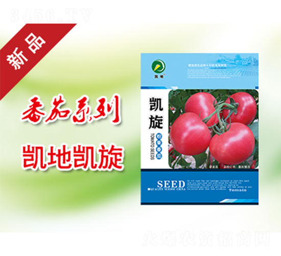 �P��-���ѷN��-�P���r�I(y��)