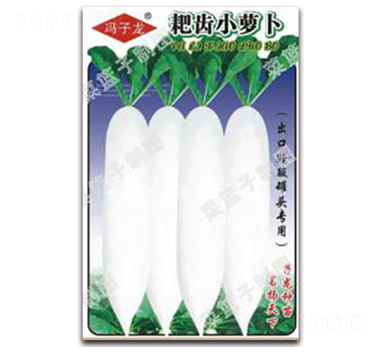 靶齒小蘿卜-蘿卜種子-子龍種業(yè)