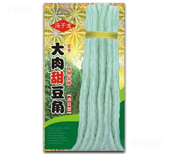 大肉甜豆角-豆角種子-子龍種業(yè)