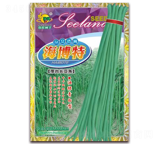 海博特厚肉長豆角-豆角種子-子龍種業(yè)