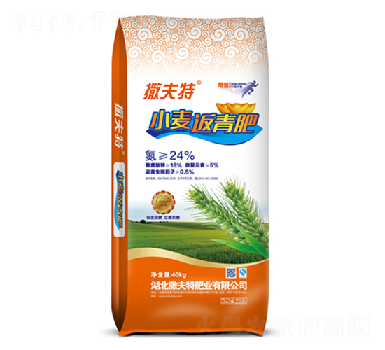 С�������-������