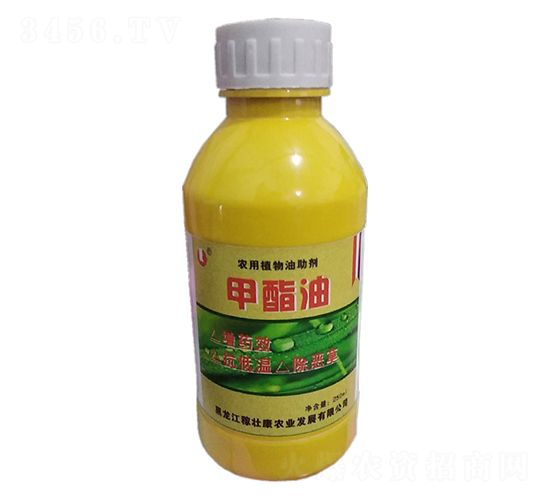 ������-�ډѿ�