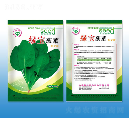 綠寶-菠菜種子-天龍種業(yè)