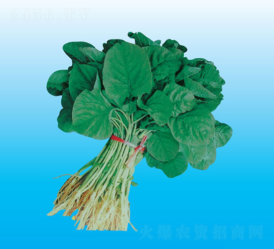 �_�����{��-�{�˷N��-�����N�I(y��)