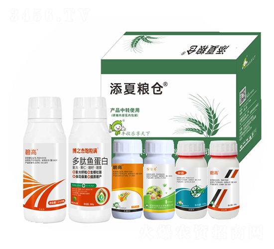 ���ļZ�}��ʮ���أ�-�S�՘�