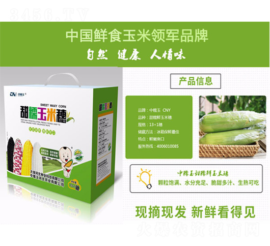 甜糯玉米穗-鑫大綠