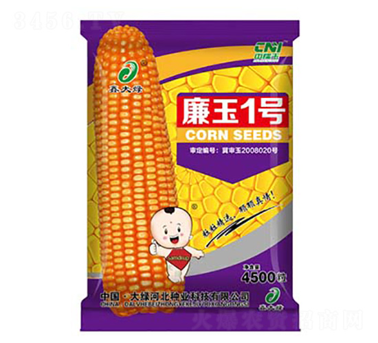 ����1̖-���׷N��-�δ�G