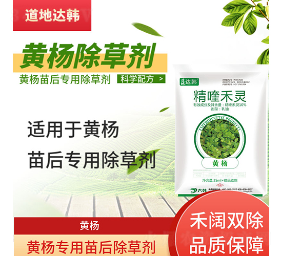 �S��������݄�-�����_(d��)�n