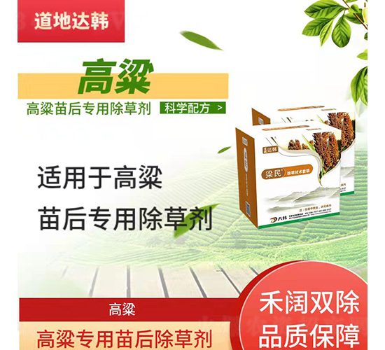 �������������݄�-����-�����_(d��)�n