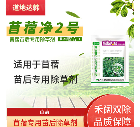 ��ޣ��(zhu��n)�������݄�-��ޣ��2̖(h��o)-�����_(d��)�n